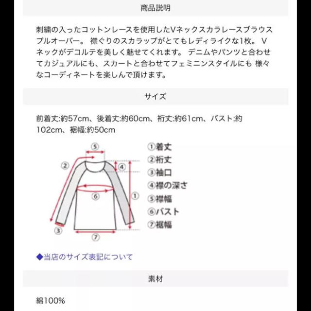 titivate(ティティベイト)のtitivate Vネックスカラレースブラウスプルオーバー レディースのトップス(シャツ/ブラウス(長袖/七分))の商品写真