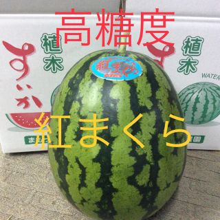 【産地直送】熊本県植木産 紅まくら 1玉入り 8kg(フルーツ)