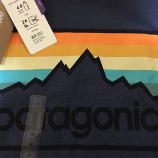 パタゴニア(patagonia)のPATAGONIA メンズ P-6ロゴ・レスポンシビリティー Tシャツ M(Tシャツ/カットソー(半袖/袖なし))