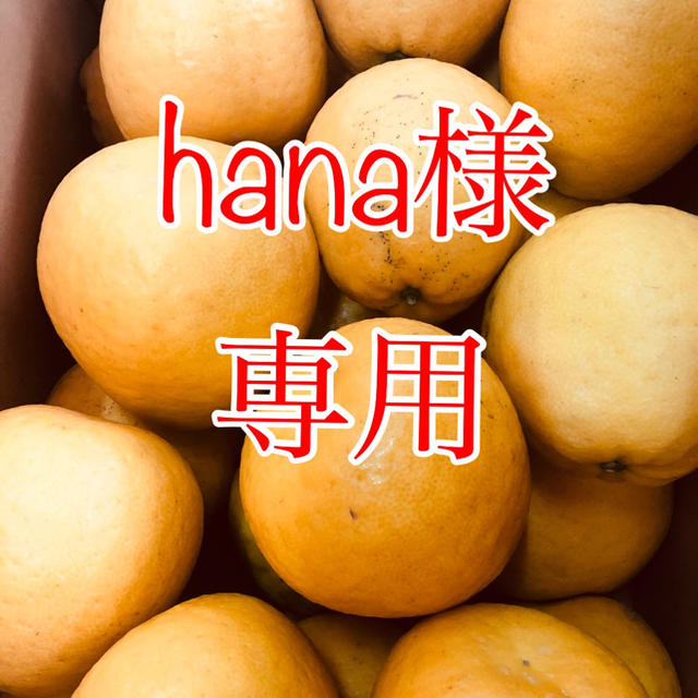 hana様 専用 晩柑20kg  食品/飲料/酒の食品(フルーツ)の商品写真
