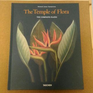 The Temple of Flora フローラの神殿(アート/エンタメ)