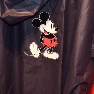 ディズニー(Disney)の【専用】ポンチョ＆ダッフィ(レインコート)