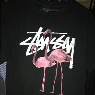 ステューシー(STUSSY)のstussy Tシャツ(Tシャツ/カットソー(半袖/袖なし))