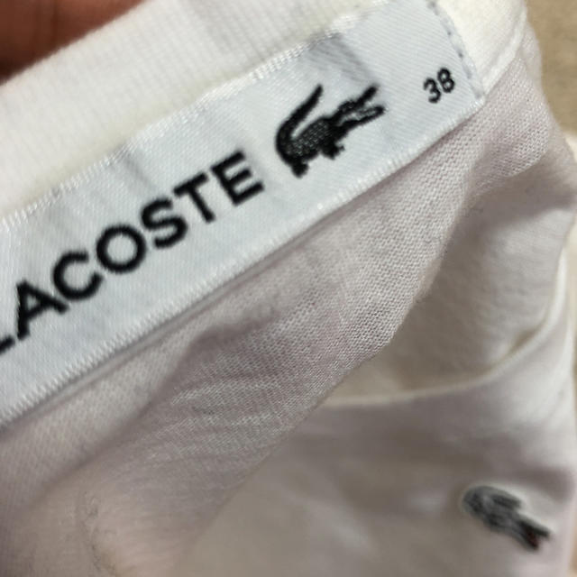 LACOSTE(ラコステ)の《美品》ラコステ🐊VネックTシャツ レディースのトップス(Tシャツ(半袖/袖なし))の商品写真