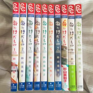 ショウガクカン(小学館)の花にけだもの 1~10巻(全巻)(少女漫画)