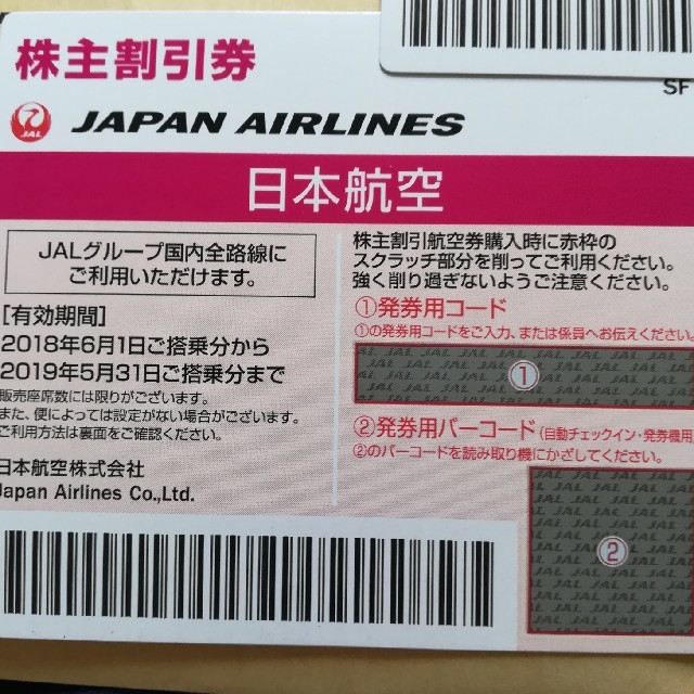 JAL 日本航空乗車券/交通券