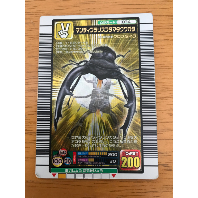 旧ムシキングカード 2005ファーストの通販 by とも's shop|ラクマ 旧ムシキングカード 2005ファーストの通販 by とも's shop|ラクマ