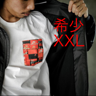 アトモス(atmos)の希少 XXL NIKE ATMOS AIR MAX 90 POCKET TEE(Tシャツ/カットソー(半袖/袖なし))