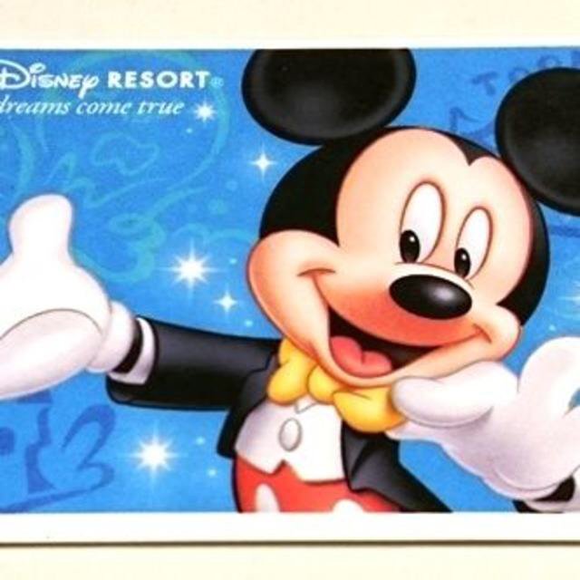 【予約】 ディズニー 引換券　制限日なし 年パス 年間パスポート 共通 遊園地/テーマパーク