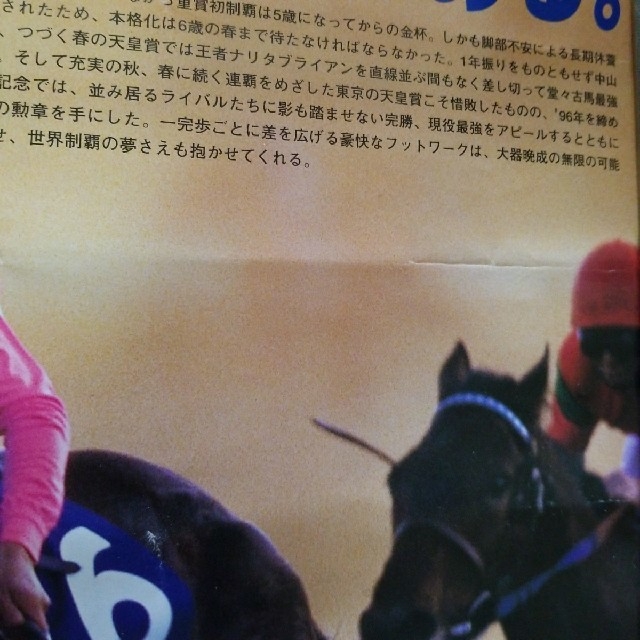 ◇ サクラローレル ヒーロー列伝 非売品 競馬ポスター B3 インテリア 希少の通販 by ni-co JRA 中山競馬場 非売品 ポスター B2 サクラローレル サニーブライアン①