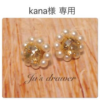 kana様 専用ページ(ピアス)