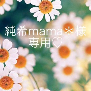 マイストラーダ(Mystrada)の純希mama＊様専用♡マイストラーダ♡ストライプスカート(ロングスカート)