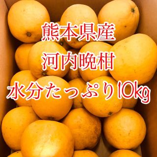 熊本県産 河内晩柑 10kg (フルーツ)