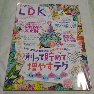 りかちゃん9777様専用★LDK 2018 6月号(その他)