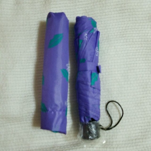 SLY(スライ)のSLY 折りたたみ傘 レディースのファッション小物(傘)の商品写真