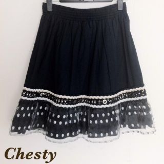 チェスティー(Chesty)のChesty＊チェスティ刺繍スカート(ひざ丈スカート)