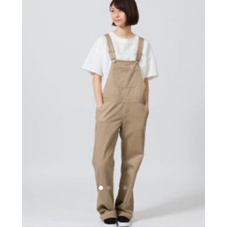 フリークスストア(FREAK'S STORE)のDickies TCツイルオーバーオール Ｌ(サロペット/オーバーオール)