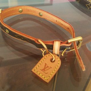 ルイヴィトン(LOUIS VUITTON)のLOUIS VUITTON犬用首輪とリードセット(リード/首輪)