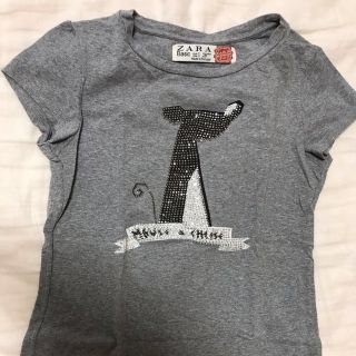 ザラ(ZARA)のグレーTシャツ(その他)