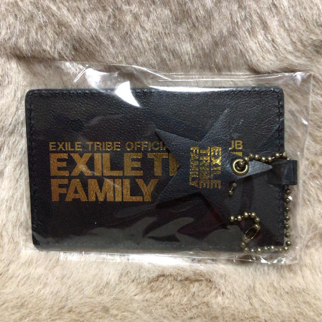 EXILE TRIBE(エグザイル トライブ)のEXILE family エンタメ/ホビーのタレントグッズ(アイドルグッズ)の商品写真