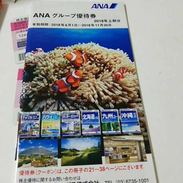 ANA(全日本空輸)(エーエヌエー(ゼンニッポンクウユ))のANA 株主優待券2枚+冊子 チケットの乗車券/交通券(航空券)の商品写真