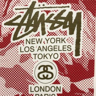 STUSSY ステューシー Ｔシャツ ワールドツアー  ローカルカラー多数出品中