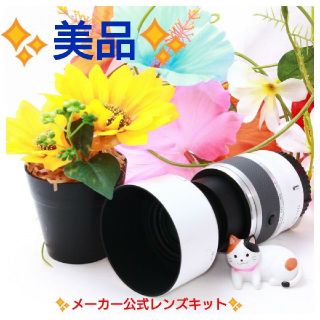 ニコン(Nikon)の【美品】【一眼レフミラーレス用】ニコン NIKKOR 30-110mm VR❤️(レンズ(ズーム))