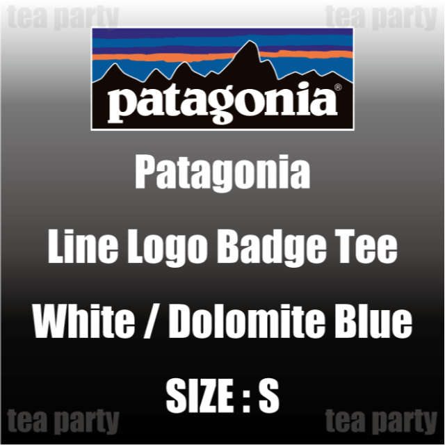 patagonia(パタゴニア)のパタゴニア patagonia S/S ロゴTシャツ サイズ：S　WHITE メンズのトップス(Tシャツ/カットソー(半袖/袖なし))の商品写真