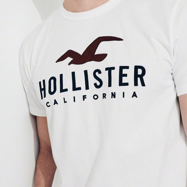 Hollister(ホリスター)の★Hollister 【S】大人気のクラシックロゴワッペンアップリケ刺繍半袖T メンズのトップス(Tシャツ/カットソー(半袖/袖なし))の商品写真