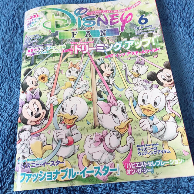 Disney(ディズニー)のべべふぁっと様専用✨ エンタメ/ホビーの雑誌(アート/エンタメ/ホビー)の商品写真