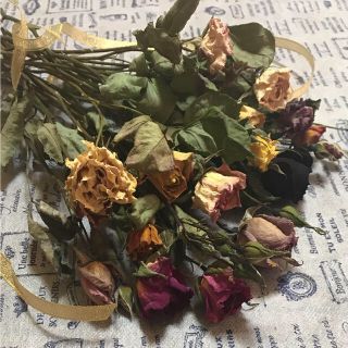 薔薇 ドライフラワー   20本(ドライフラワー)