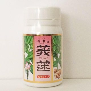 ソレイユさま専用2個セット【未開封】千草 ちぐさ／ガジュツ（紫ウコン）_粒タイプ(その他)