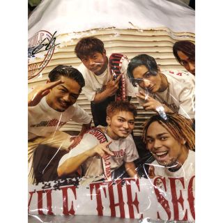 エグザイルザセカンド(EXILE THE SECOND)のSECOND FINAL限定 フォトTシャツ(ミュージシャン)