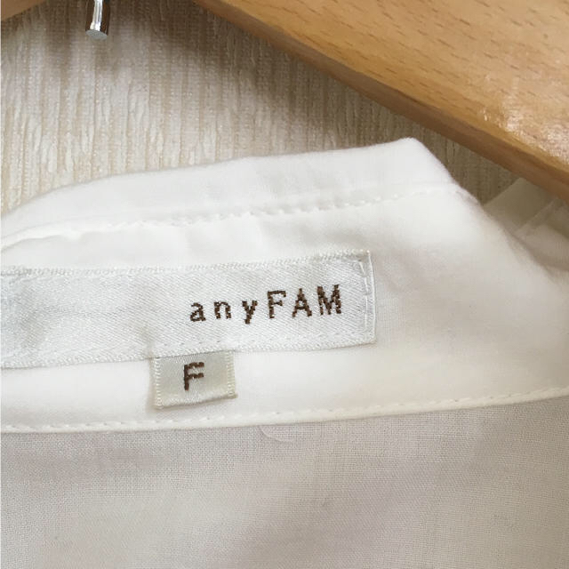 anyFAM(エニィファム)のブラウス レディースのトップス(シャツ/ブラウス(半袖/袖なし))の商品写真