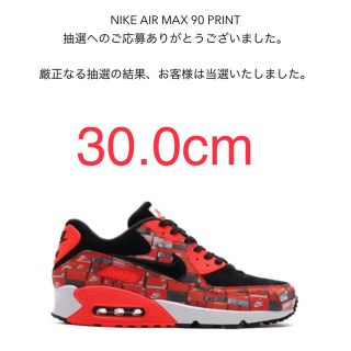 ナイキ(NIKE)のAIR MAX 90 WE LOVE NIKE atmos 希少30 US12(スニーカー)