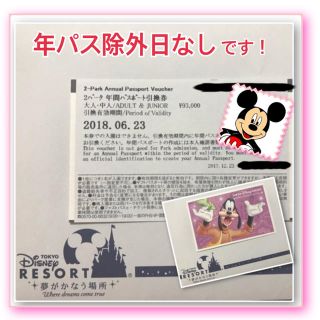 ディズニー(Disney)のディズニー2パーク年間パスポート引換券(遊園地/テーマパーク)