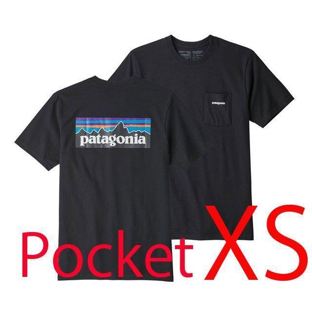 新品 L 即日発送パタゴニア 日本サイズXL P6 ロゴ Tシャツ白2018