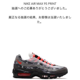 アトモス(atmos)のAtmos Nike airmax95 28.5cm(スニーカー)