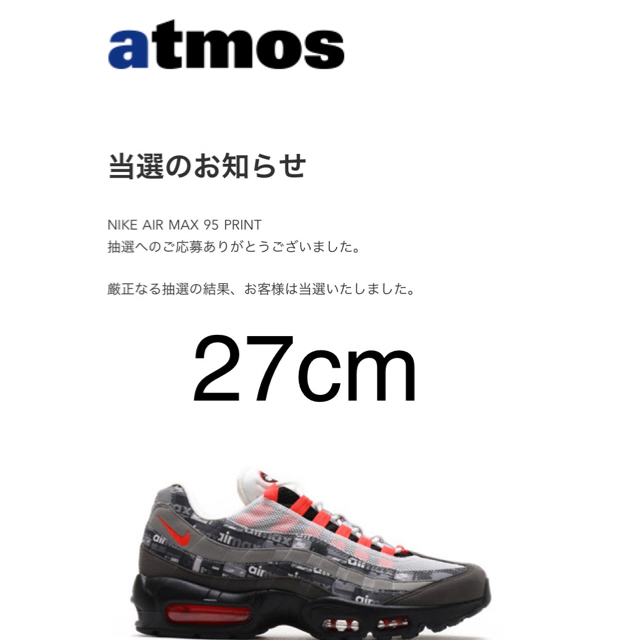 Nike airmax95 atmos