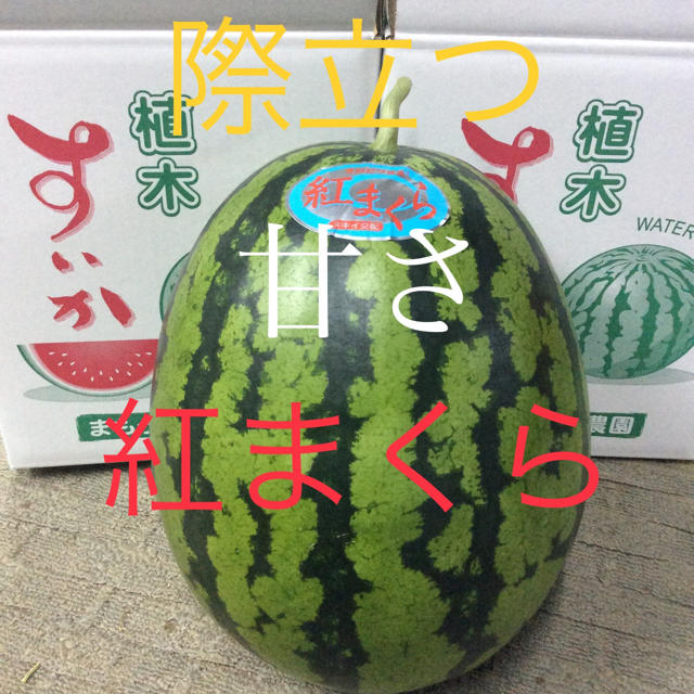 熊本県植木産 紅まくら 9kg 食品/飲料/酒の食品(フルーツ)の商品写真