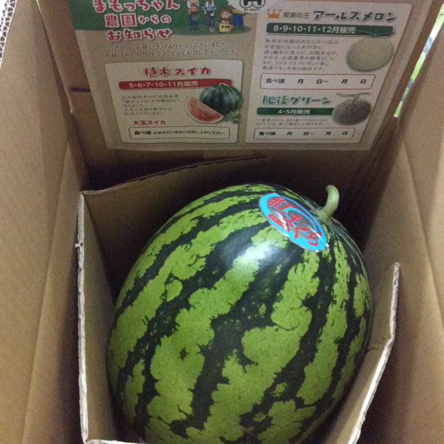 熊本県植木産 紅まくら 9kg 食品/飲料/酒の食品(フルーツ)の商品写真