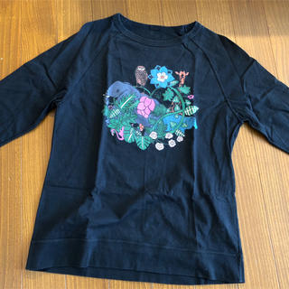 ボヘミアンズ(Bohemians)のボヘミアンズ(Tシャツ/カットソー(七分/長袖))