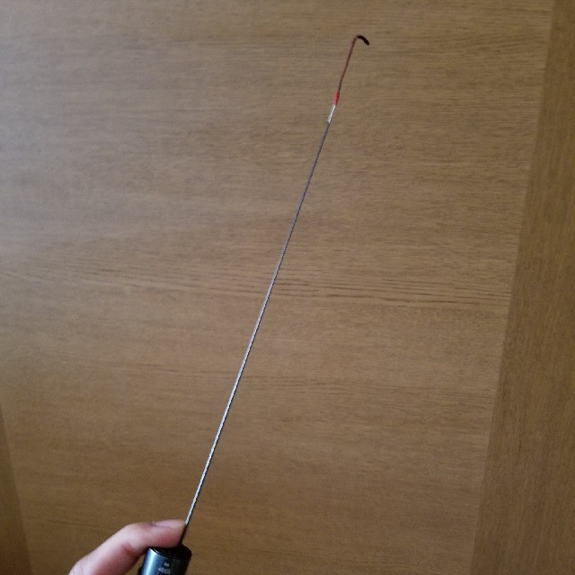 DAIWA Daiwa 渓流竿 深山 美品 硬調53M イワナ ヤマメの通販 by ちゃけん Daiwa ダイワ 渓流 ヤマメ イワナ 延べ竿 PG 深山 42