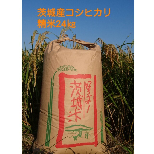 めれ様専用茨城29年産コシヒカリ精米済み24㎏ 食品/飲料/酒の食品(米/穀物)の商品写真