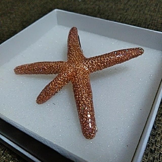 新品 安室奈美恵風ヒトデの髪はさむやつの通販 By ニーナ ラクマ 新品 安室奈美恵風ヒトデの髪はさむやつの通販 By ニーナ ラクマ