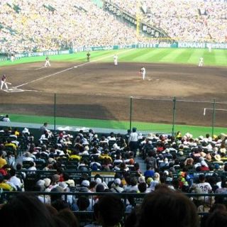 ハンシンタイガース(阪神タイガース)の6/7(木)｜阪神vsオリックス＠甲子園｜人気アイビー・通路側席ペア・交流戦(野球)