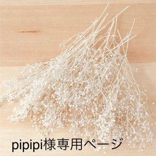 pipipi様専用ページ♡(プリザーブドフラワー)