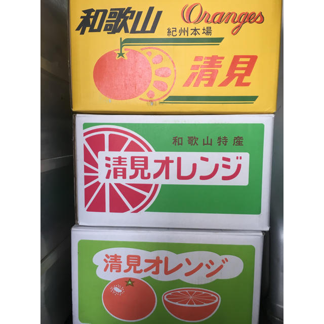 和歌山県 傷あり訳あり清見オレンジ 10kg 食品/飲料/酒の食品(フルーツ)の商品写真