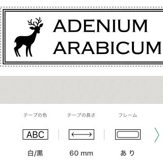 ブラザー(brother)の識別ラベル ラベル オーダー ピータッチキューブ(オーダーメイド)