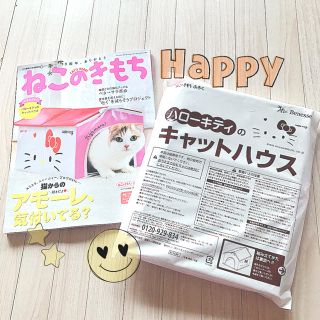 ハローキティ(ハローキティ)のねこのきもち🐈最新号付録✨キャットハウス😍ハローキティ♡サンリオ(猫)